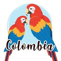 paio di colorato tropicale pappagalli Colombia vettore