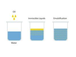 emulsione olio nel acqua, immiscibile liquidi vettore illustrazione