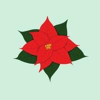 poinsettia fiori con le foglie piatto isolato illustrazione vettore. per Natale e nuovo anno saluto carte, striscioni, tag, etichette, sfondo. vettore