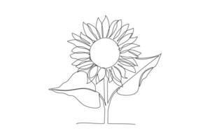 uno continuo linea disegno di girasole e floreale telaio concetto. scarabocchio vettore illustrazione nel semplice lineare stile.