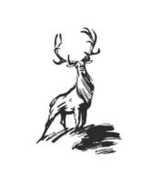 mano disegnato inchiostro illustrazione di cervo. nero e bianca inchiostro schizzo vettore. vettore
