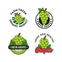 verde uva frutta logo design collezione vettore