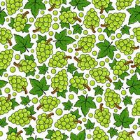 verde uva frutta senza soluzione di continuità modello sfondo illustrazione vettore
