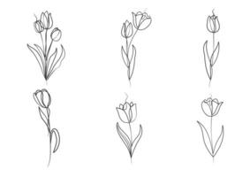 continuo uno linea arte disegno di bellezza tulipani fiore vettore