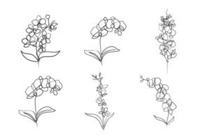 continuo uno linea arte disegno di bellezza orchidea fiore vettore