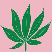 foglia di cannabis disegno a mano libera su sfondo rosa. vettore