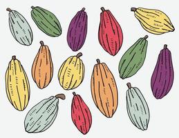 scarabocchiare a mano libera disegno della raccolta di frutti di cacao. vettore