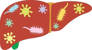 fegato - problema agli organi umani vettore
