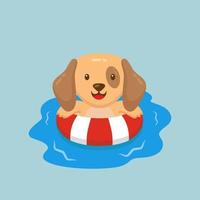 simpatico cane che nuota cartone animato estivo vettore