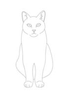 schema di disegno dell'illustrazione del gatto vettore