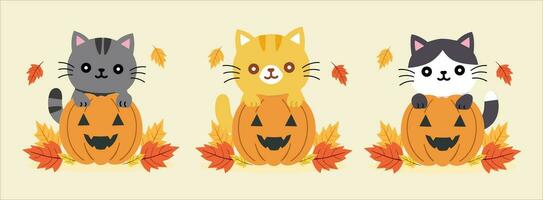 impostato di carino gatti e zucche con autunno le foglie. piatto disegno, etichetta, e clipart con vettore illustrazioni