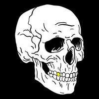 nero e bianca umano cranio con un' inferiore mascella. vettore