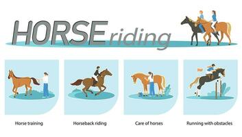 cavallo equitazione Infografica vettore