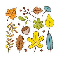 collezione di foglie autunnali disegnate a mano vettore