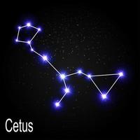 costellazione di cetus con bellissime stelle luminose sullo sfondo del cielo cosmico illustrazione vettoriale