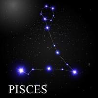 segno zodiacale pesci con bellissime stelle luminose sullo sfondo del cielo cosmico illustrazione vettoriale