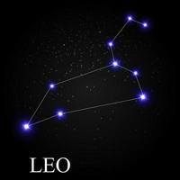 segno zodiacale leone con bellissime stelle luminose sullo sfondo del cielo cosmico illustrazione vettoriale