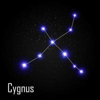 costellazione del cigno con bellissime stelle luminose sullo sfondo del cielo cosmico illustrazione vettoriale