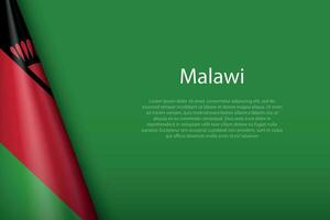 nazionale bandiera malawi isolato su sfondo con copyspace vettore