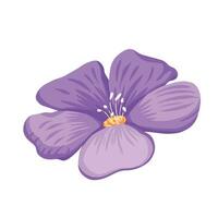 viola colorato fiore petali fiore stami vettore illustrazione isolato su piazza bianca sfondo. semplice piatto cartone animato arte styled disegno.