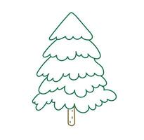 conifera pino abete Natale ago alberi scarabocchio vettore illustrazione