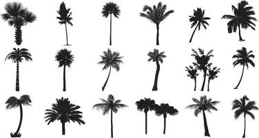impostato di palma alberi sagome, isolato vettore su bianca sfondo