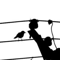 silhouette di il uccello arroccato su il elettrico filo base su mio fotografia. vettore illustrazione