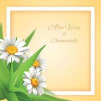 camomilla fiori di aloe sfondo illustrazione vettoriale