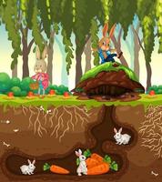 tana del coniglio sotterranea con superficie del terreno della scena del giardino vettore