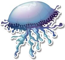 adesivo cartone animato animali marini meduse vettore