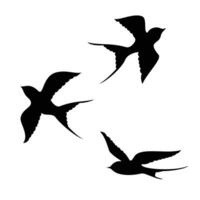 ingoiare uccello silhouette design. uccello volante cartello e simbolo. vettore