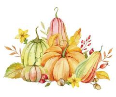 autunno ringraziamento acquerello zucche con le foglie e raccogliere su bianca sfondo. autunno floreale preparativi con zucche, frutti di bosco e le foglie vettore