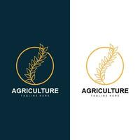 riso logo, azienda agricola Grano logo disegno, vettore simbolo icona grafico illustrazione