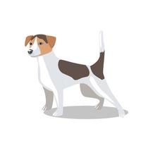 simpatico cane di razza jack russell terrier vettore