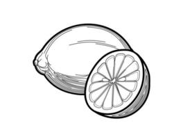 illustrazione vettoriale di limone con linee sottili