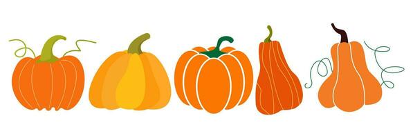 contento ringraziamento zucca icona illustrazione autunno autunno raccogliere ringraziamento illustrazione. vettore