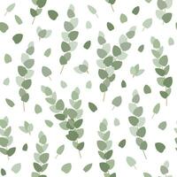 senza soluzione di continuità modello di disegnato a mano tropicale eucalipto le foglie. vettore botanico illustrazione.