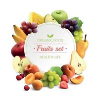 frutta cornice sfondo realistico illustrazione vettoriale