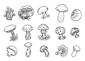 funghi, set di illustrazioni vettoriali, raccolta di diversi tipi di contorno di funghi neri, isolato su sfondo bianco vettore