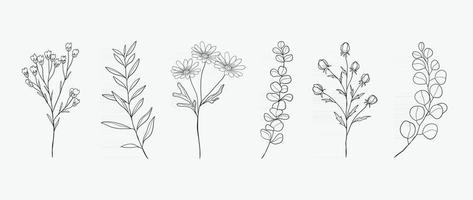 disegno botanico minimo a mano per logo e invito a nozze. arte della linea floreale. collezione di design di fiori e foglie per la decorazione di mazzi, carta e sfondo di imballaggio. vettore