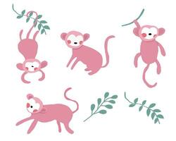 carino rosa scimmia illustrazione impostato vettore