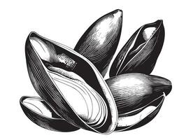 cozze mare schizzo disegnato con mano vettore illustrazione mare cibo