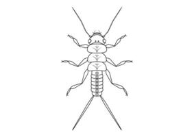 nero e bianca moscapietra ninfa insetto clipart vettore isolato su bianca sfondo. colorazione pagina di un' moscapietra ninfa insetto