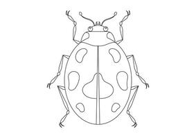 nero e bianca scarafaggio vettore clipart. colorazione pagina di un' scarafaggio