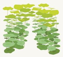 bella foresta di foglie di loto. illustrazioni di disegno vettoriale. vettore