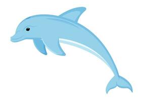 delfino cartone animato personaggio vettore isolato su bianca sfondo