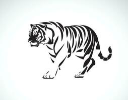 vettore di tigre su bianca sfondo. selvaggio animali. facile modificabile stratificato vettore illustrazione.