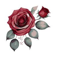impostato acquerello elementi rosa Rose collezione giardino fiori le foglie ramoscelli. botanico illustrazione nozze floreale design vettore