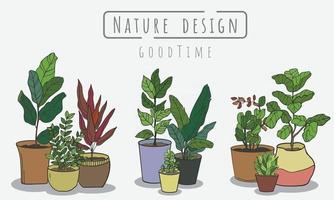 piante in vaso insieme, piante da giardino paesaggistiche interne ed esterne isolate su bianco, insieme vettoriale pianta verde nel vaso.