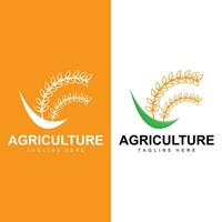 riso logo, azienda agricola Grano logo disegno, vettore simbolo icona grafico illustrazione